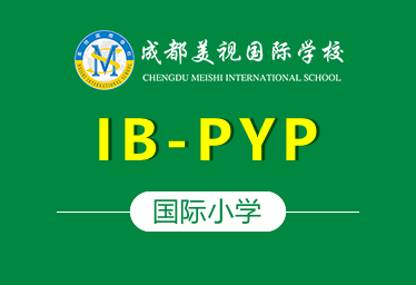 成都美视国际小学IB-PYP图片