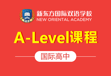 新东方国际高中（A-Level课程）图片