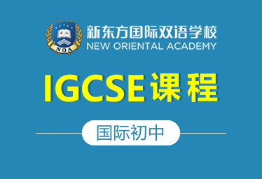 新东方国际初中（IGCSE课程）图片
