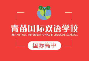 青苗国际双语学校国际高中图片