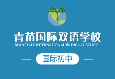 青苗国际双语学校国际初中图片