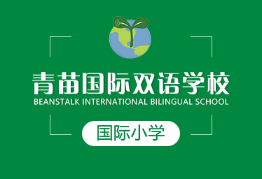 青苗国际双语学校国际小学图片