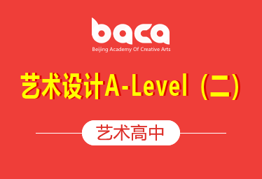 BACA国际艺术设计A Level（二）简章图片
