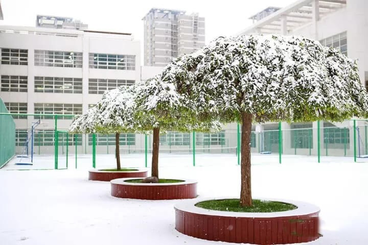 西安高新国际学校学校风景图片06