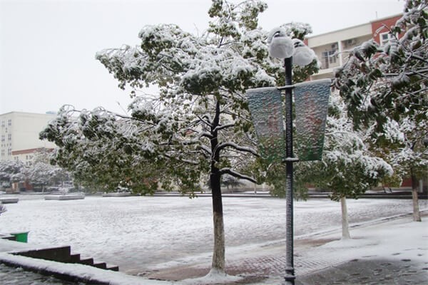 合肥世界外国语学校雪中美景图集02