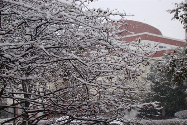 合肥世界外国语学校雪中美景图集03