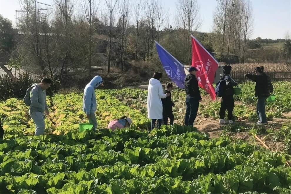 青岛明德双语学校农耕体验活动图片04