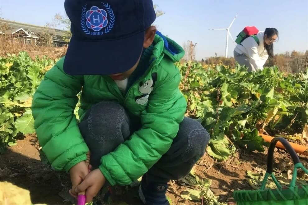 青岛明德双语学校农耕体验活动图片06