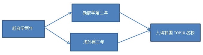 韩国国际高中培养流程