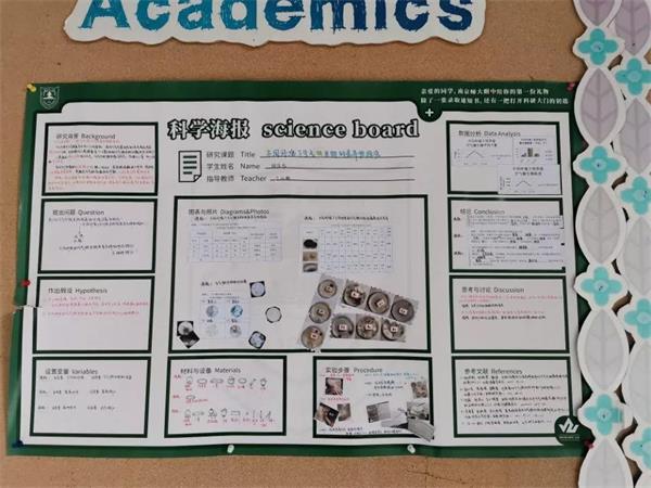 南京师范大学附属中学国际部海报评选图片2