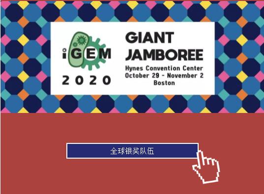 iGEM与AMC 大赛获奖图片1