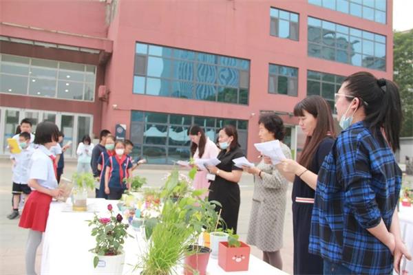 北京力迈中美国际学校“力迈杯”中小学植物栽培大赛图片3