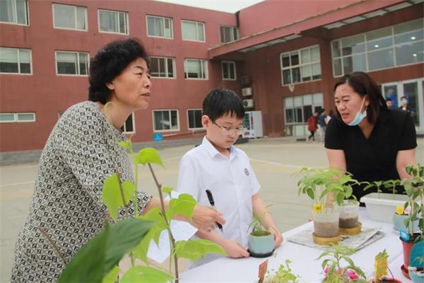 北京力迈中美国际学校“力迈杯”中小学植物栽培大赛图片6